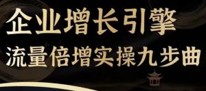 企业增长引擎流量倍增实操九步曲,一套课程帮你找到快速、简单、有效、可复制的获客+变现方式,-水滴知识网