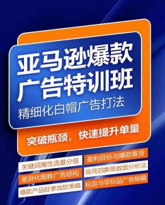 亚马逊爆款广告特训班,快速掌握亚马逊关键词库搭建方法,有效优化广告数据并提升旺季销量-水滴知识网