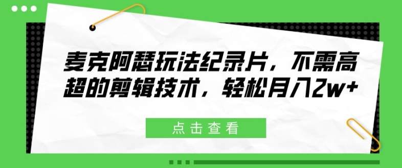 麦克阿瑟玩法纪录片,不需高超的剪辑技术,轻松月入2w+【揭秘】-水滴知识网