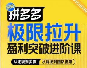 拼多多极限拉升盈利突破进阶课,从算法到玩法,从玩法到团队搭建,体系化系统性帮助商家实现利润提升-水滴知识网