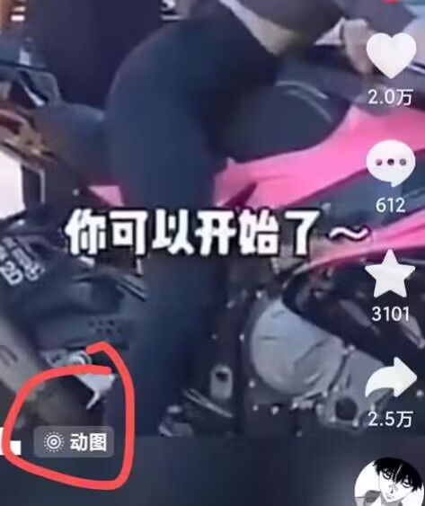 2024年7月苹果手机动图搬运技术-水滴知识网