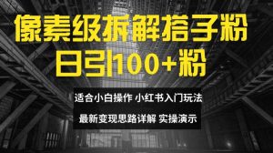 像素级拆解搭子粉，日引100+，小白看完可上手，最新变现思路详解【揭秘】-水滴知识网