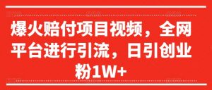爆火赔付项目视频,全网平台进行引流,日引创业粉1W+【揭秘】-水滴知识网