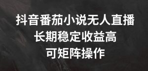 抖音番茄小说无人直播,长期稳定收益高,可矩阵操作【揭秘】-水滴知识网