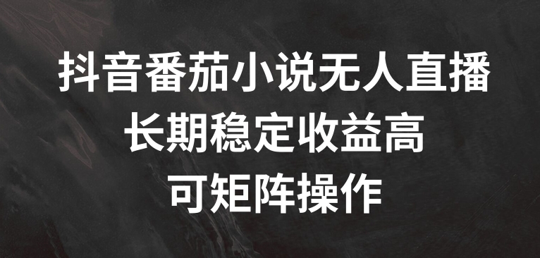 抖音番茄小说无人直播,长期稳定收益高,可矩阵操作【揭秘】-水滴知识网