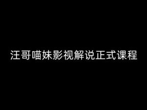 汪哥影视解说正式课程:剪映/PR教学/视解说剪辑5大黄金法则/全流程剪辑7把利器等等-水滴知识网