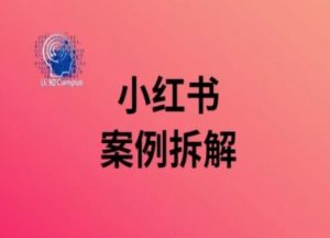 小红书案例拆解，深度解读小红书40万粉-水滴知识网