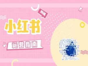 小红书运营指南,没有套路,全是经验-水滴知识网