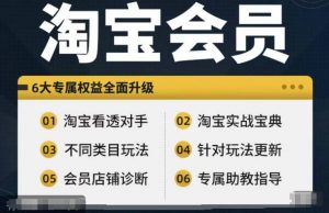 淘宝会员【淘宝所有课程,全面分析对手】,初级到高手全系实战宝典-水滴知识网