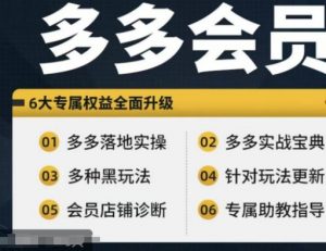 拼多多会员，拼多多实战宝典+实战落地实操，从新手到高阶内容全面覆盖-水滴知识网