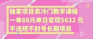 独家项目卖冷门教学课程一单88元单日变现5632元违规不封号长期项目【揭秘】-水滴知识网