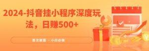 2024全网首次披露,抖音挂小程序深度玩法,日赚500+,简单、稳定,带渠道收入,小白必做【揭秘】-水滴知识网