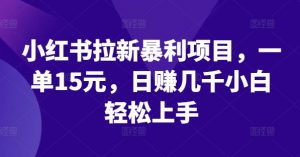 小红书拉新暴利项目,一单15元,日赚几千小白轻松上手【揭秘】-水滴知识网