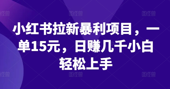 小红书拉新暴利项目,一单15元,日赚几千小白轻松上手【揭秘】-水滴知识网
