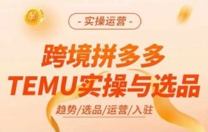 跨境拼多多TEMU实操与选品,多多temu跨境选品运营实操-水滴知识网