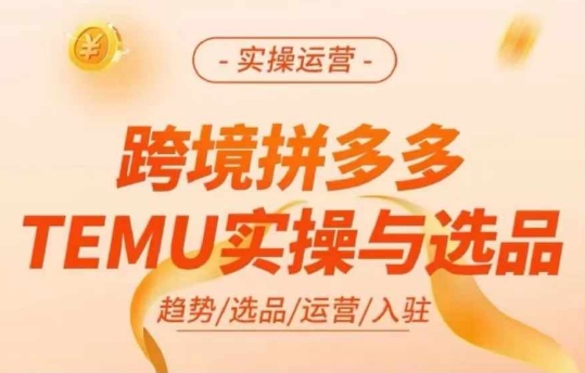 跨境拼多多TEMU实操与选品,多多temu跨境选品运营实操-水滴知识网