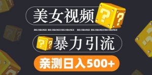 搬运tk美女视频全网分发，日引s粉300+，轻松变现，不限流量不封号【揭秘】-水滴知识网