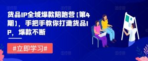 货品IP全域爆款陪跑营【第4期】,手把手教你打造货品IP,爆款不断-水滴知识网