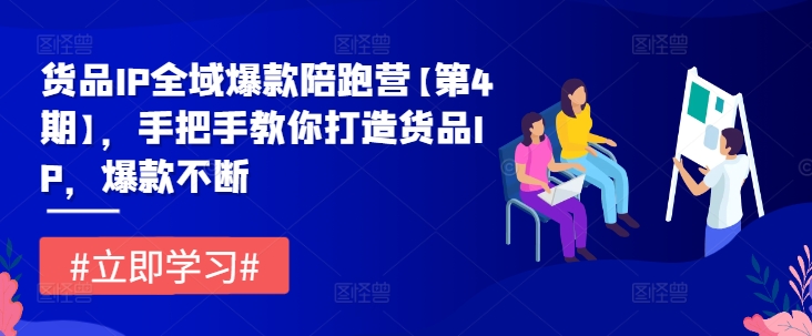 货品IP全域爆款陪跑营【第4期】,手把手教你打造货品IP,爆款不断-水滴知识网