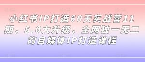 小红书IP打造60天实战营11期，5.0大升级，全网独一无二的自媒体IP打造课程-水滴知识网