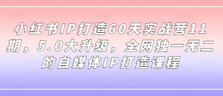 小红书IP打造60天实战营11期,5.0大升级,全网独一无二的自媒体IP打造课程-水滴知识网