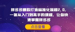 拼多多爆款打造标准化流程2.0,一套从入门到高手的课程,让你快速掌握拼多多-水滴知识网