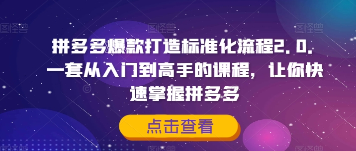 拼多多爆款打造标准化流程2.0,一套从入门到高手的课程,让你快速掌握拼多多-水滴知识网