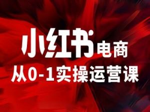 小红书电商从0-1实操运营课，让你从小白到精英-水滴知识网