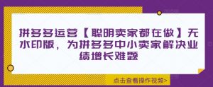 拼多多运营【聪明卖家都在做】无水印版,为拼多多中小卖家解决业绩增长难题-水滴知识网