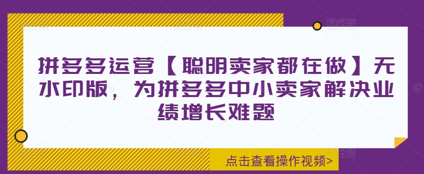 拼多多运营【聪明卖家都在做】无水印版,为拼多多中小卖家解决业绩增长难题-水滴知识网