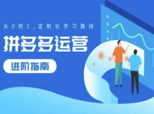 拼多多运营进阶指南,从0到1定制化学习路线-水滴知识网