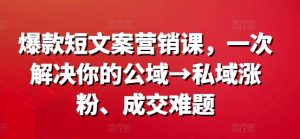 爆款短文案营销课,一次解决你的公域→私域涨粉、成交难题-水滴知识网