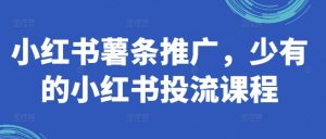 小红书薯条推广,少有的小红书投流课程-水滴知识网