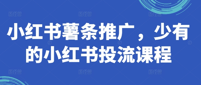 小红书薯条推广,少有的小红书投流课程-水滴知识网