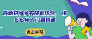 最新拼多多实战训练营， 拼多多从入门到精通-水滴知识网