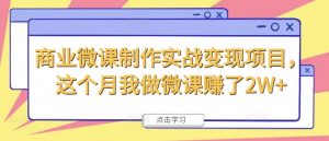 商业微课制作实战变现项目,这个月我做微课赚了2W+-水滴知识网