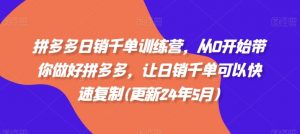 拼多多日销千单训练营,从0开始带你做好拼多多,让日销千单可以快速复制(更新24年8月)-水滴知识网
