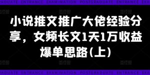 小说推文推广大佬经验分享,女频长文1天1万收益爆单思路(上)-水滴知识网