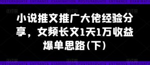 小说推文推广大佬经验分享,女频长文1天1万收益爆单思路(下)-水滴知识网