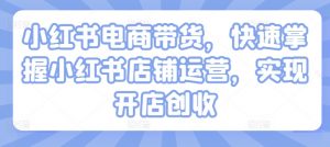 小红书电商带货,快速掌握小红书店铺运营,实现开店创收-水滴知识网