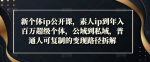 新个体ip公开课,素人ip到年入百万超级个体,公域到私域,普通人可复制的变现路径拆解-水滴知识网