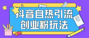 抖音引流创业粉自热玩法日引200+精准粉-水滴知识网
