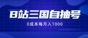 B站三国自抽号项目，0成本纯手动，每月稳赚1000【揭秘】-水滴知识网