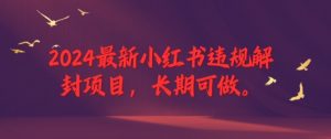 2024最新小红书违规解封项目，长期可做，一个可以做到退休的项目【揭秘】-水滴知识网