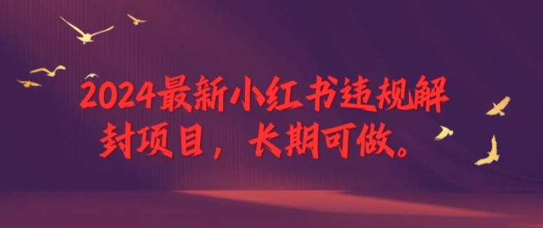 2024最新小红书违规解封项目,长期可做,一个可以做到退休的项目【揭秘】-水滴知识网