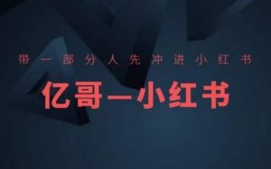 ​​带一部分人先冲进小红书，小红书开店、选品、爆款裂变-水滴知识网