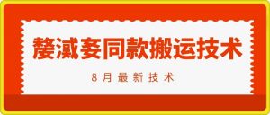 抖音96万粉丝账号【嫠㵄㚣】同款搬运技术-水滴知识网