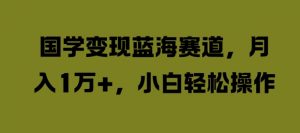 国学变现蓝海赛道,月入1W+,小白轻松操作【揭秘】-水滴知识网