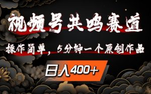 视频号共鸣赛道，操作简单，5分钟1个原创作品，日入几张【揭秘】-水滴知识网