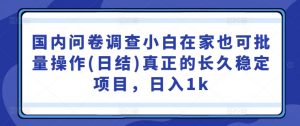 国内问卷调查小白在家也可批量操作(日结)真正的长久稳定项目,日入1k【揭秘】-水滴知识网